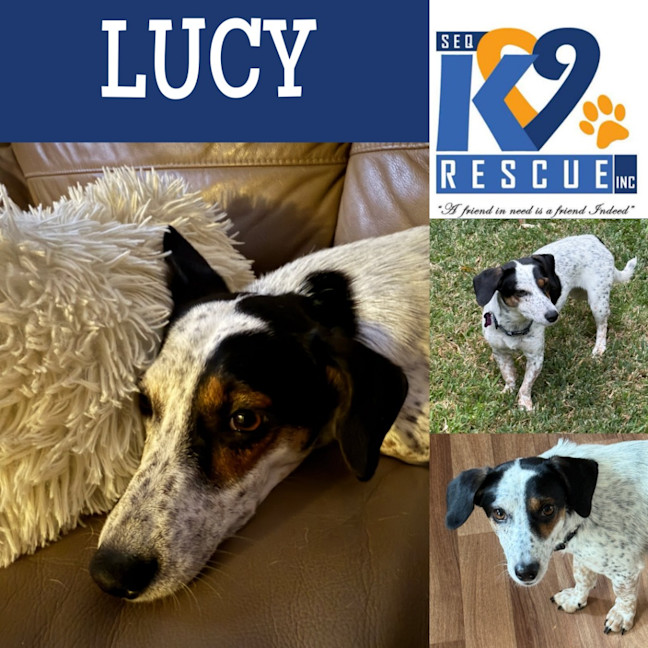 Photo of Lucy