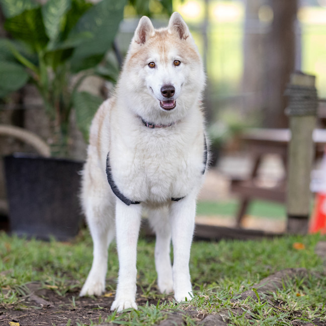 Photo of Zara