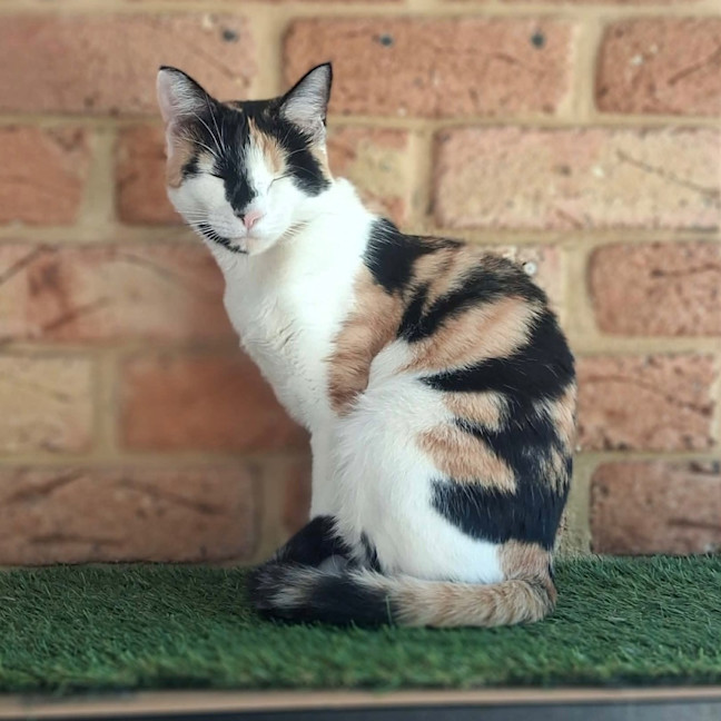 Photo of Isobel