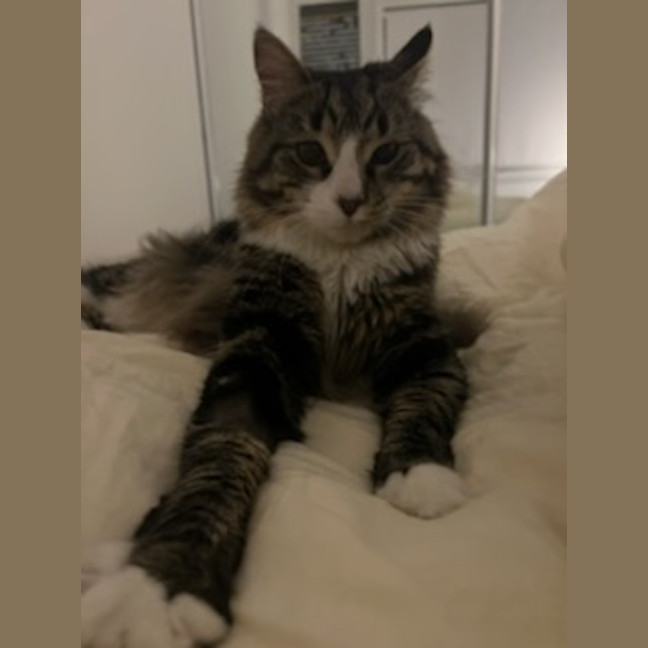 Photo of Garden Gnome Gus