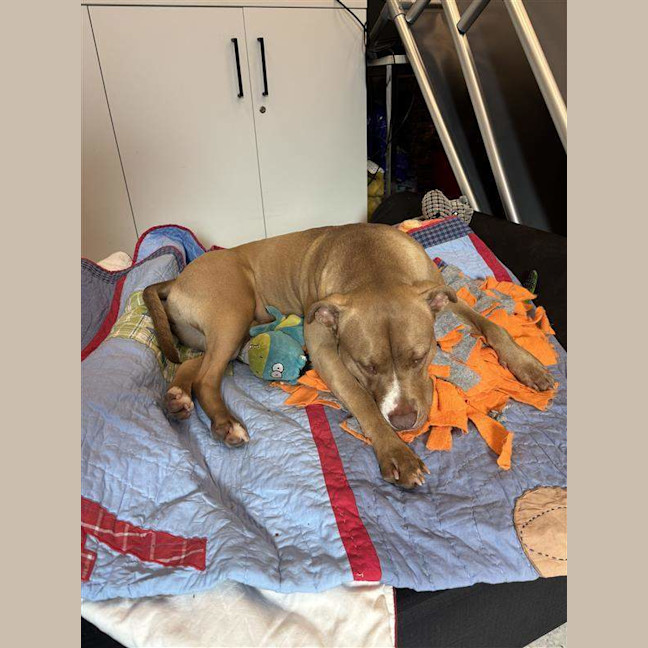 Photo of Kali