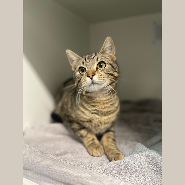 Photo of Theodore