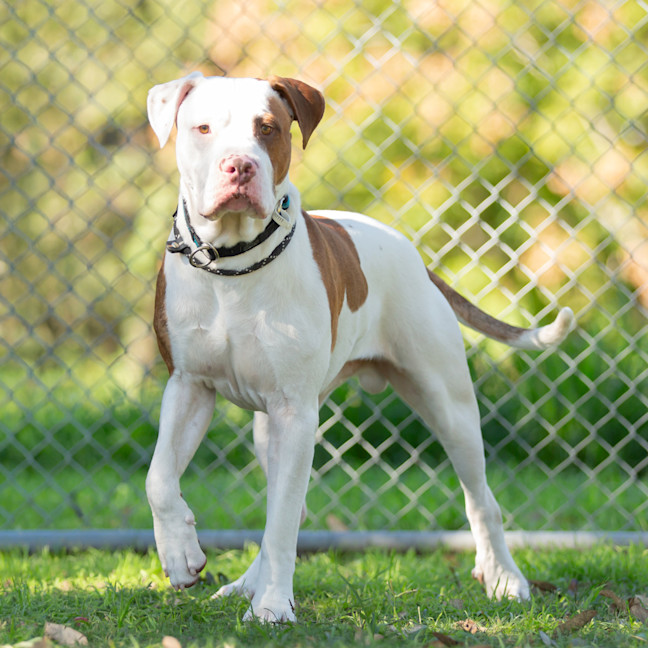 Photo of Max