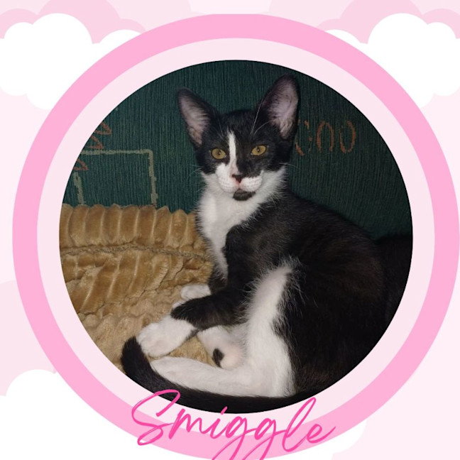 Photo of Smiggle