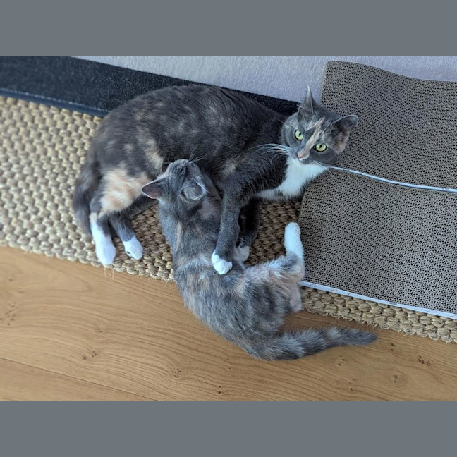 Photo of Ina (Was Georgia)