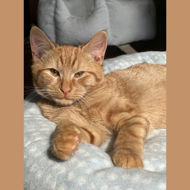 Photo of Prince Harry