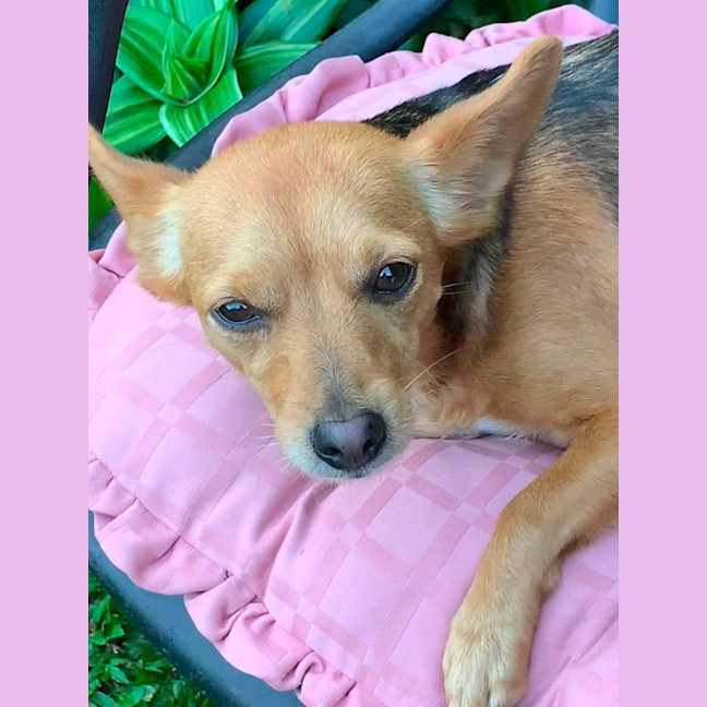 Photo of Tiny