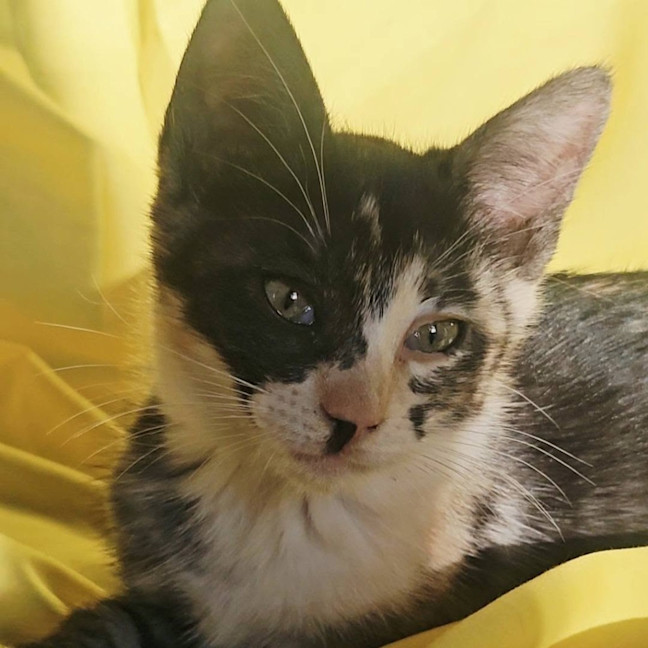 Photo of Holly