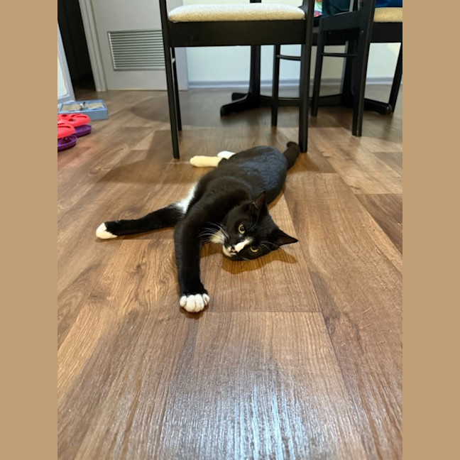 Photo of Twix