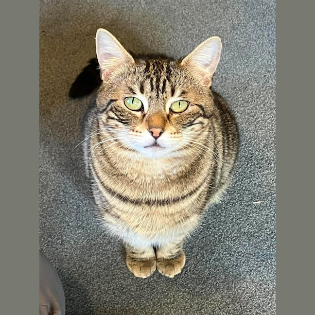 Photo of Sugar