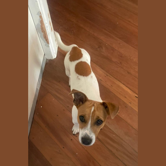 Photo of Burger