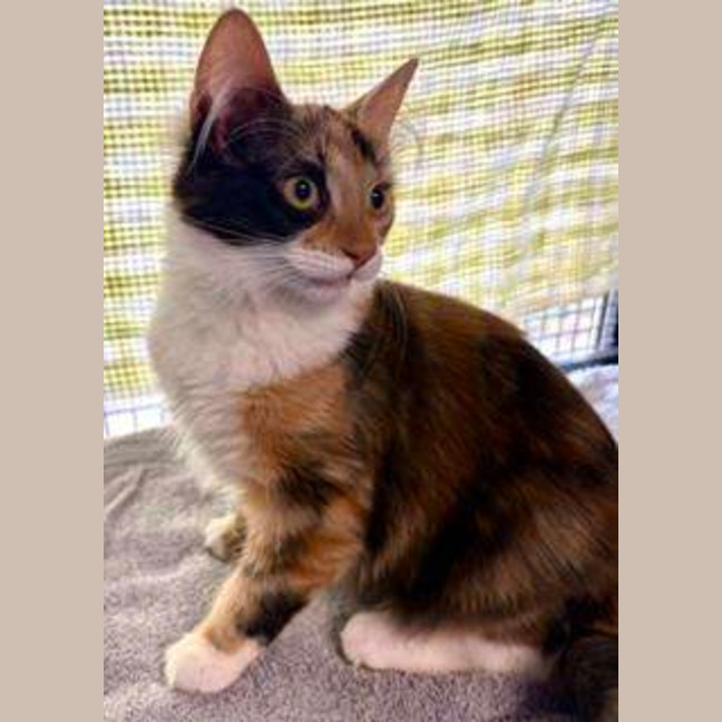 Photo of Belle