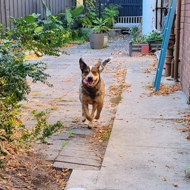 Photo of Richie Rich