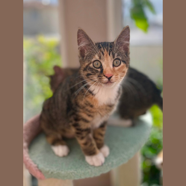 Photo of 🧡 Dory 🧡