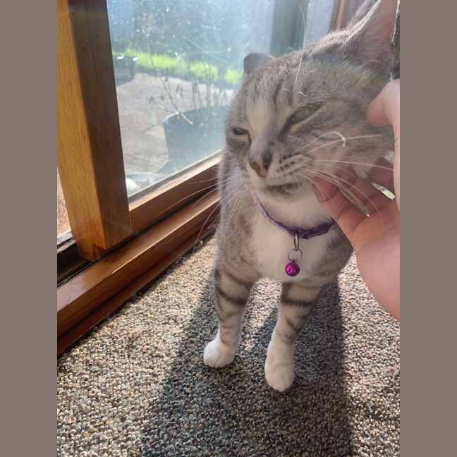 Photo of 💜 Totto 💜