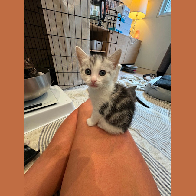 Photo of Gigi