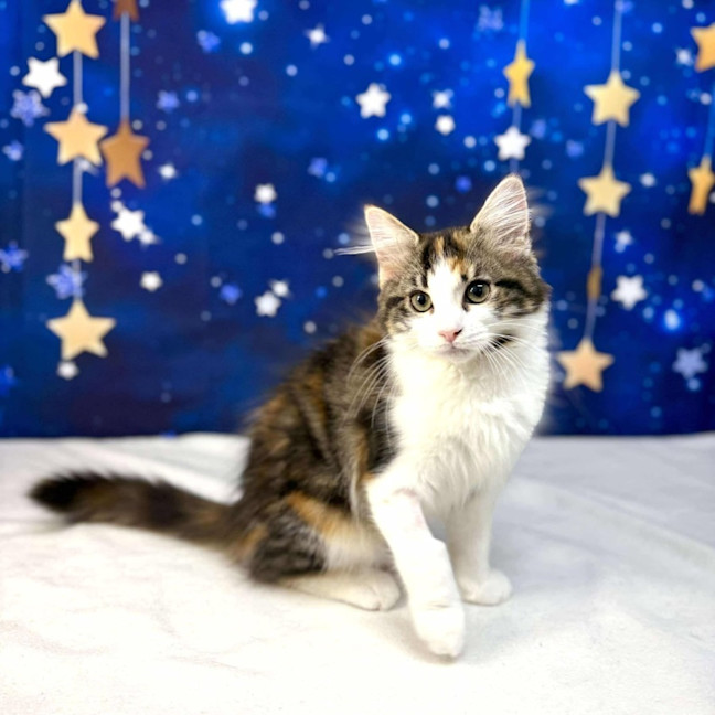 Photo of Florence   Located In Preston