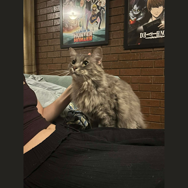 Photo of Pierre