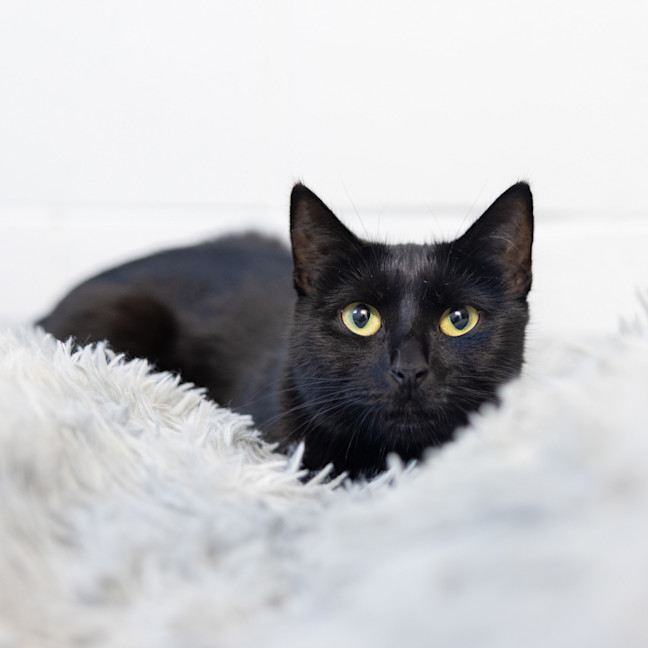 Photo of Betty