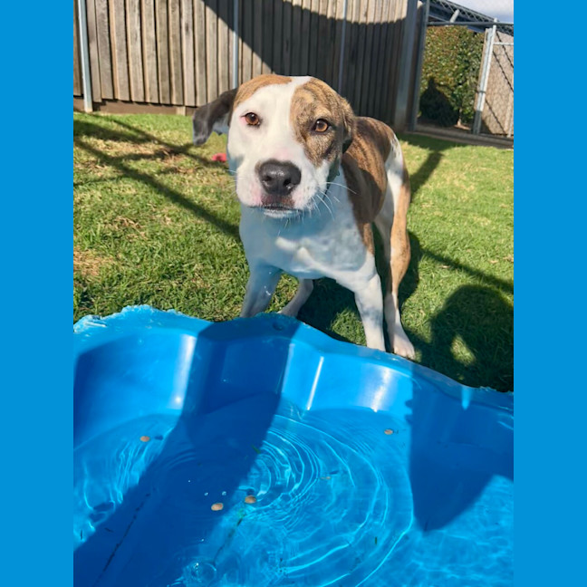 Photo of Addie
