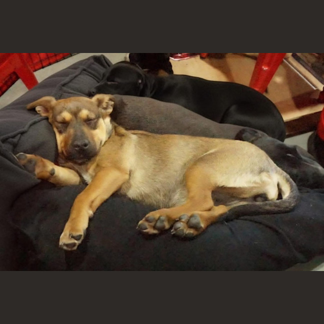 Photo of Thelma