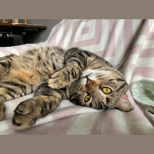 Photo of Ted