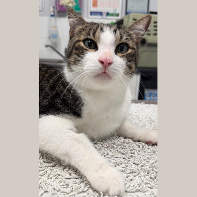 Photo of Monty