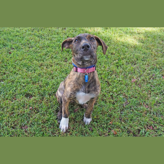 Photo of Chloe