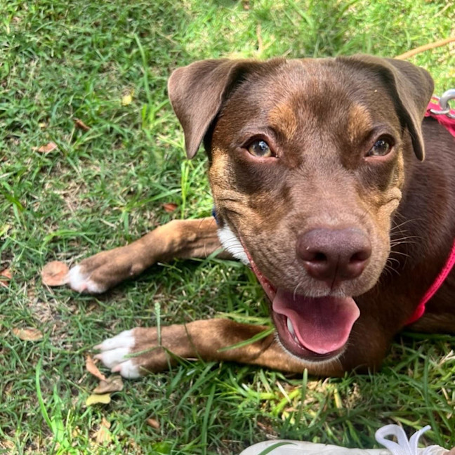 Photo of Bingo Ellie