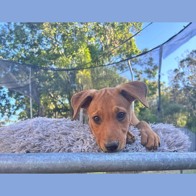 Photo of Winny (P21)