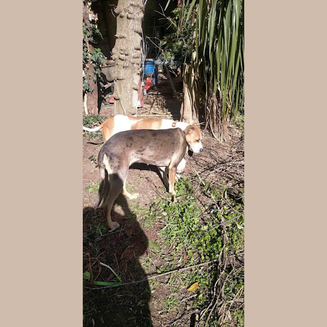Photo of Rayah 