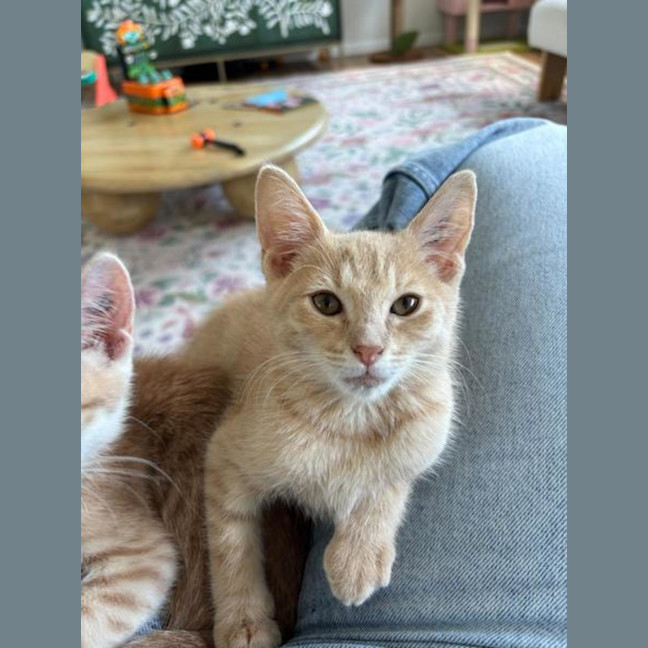 Photo of Tom