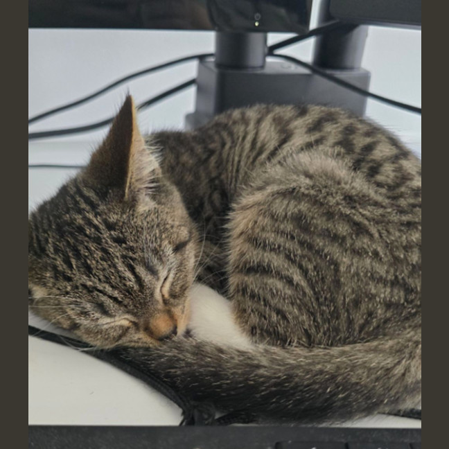 Photo of Cloud – Ringworm Special $49