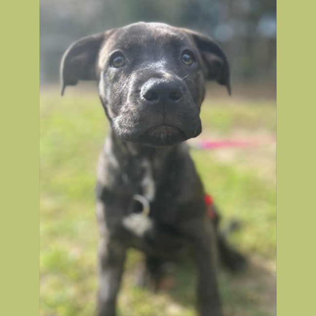 Photo of Betsy