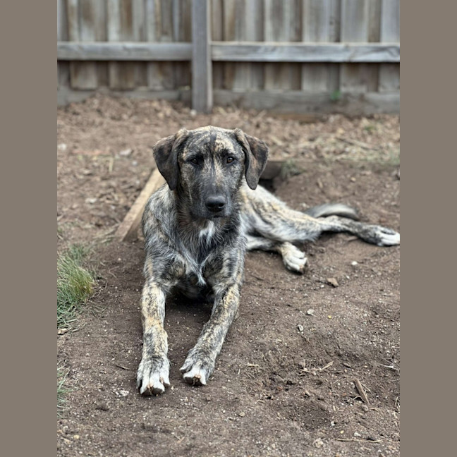 Photo of Dayzie