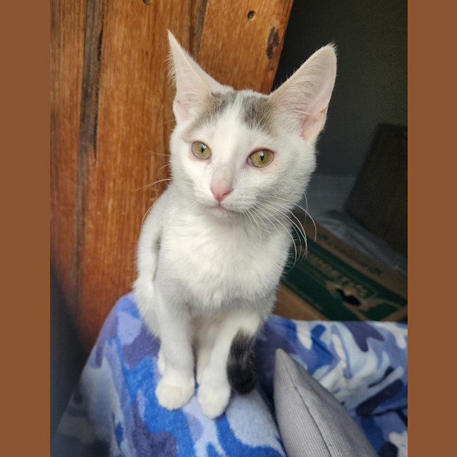 Photo of Verity & Solace