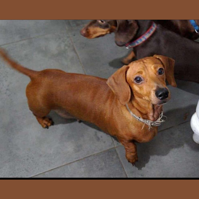 Photo of Bentley And Paulina