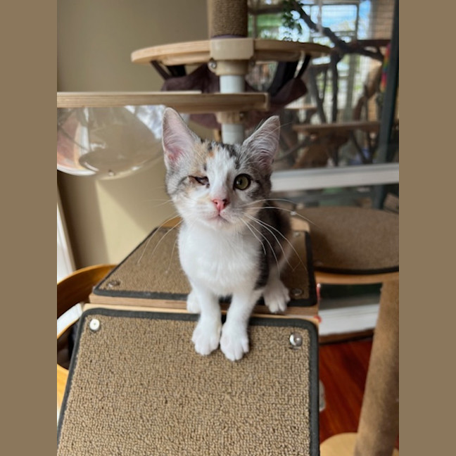 Photo of Marmalade & Honey