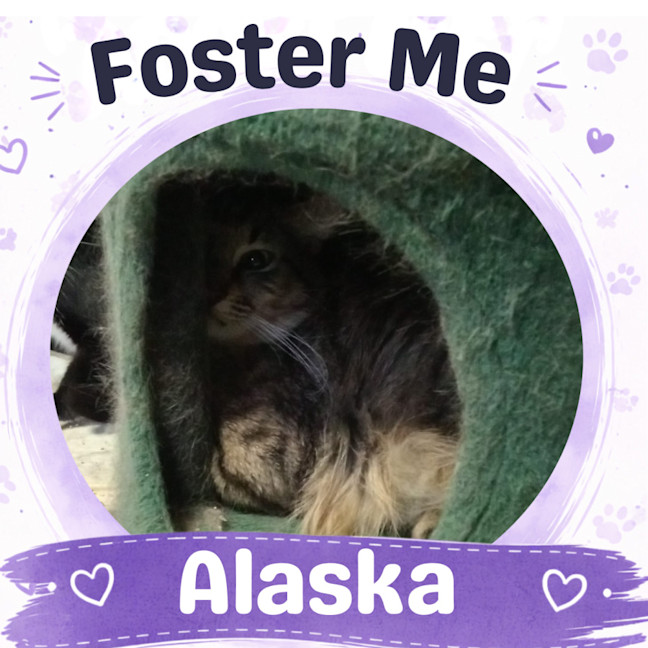 Photo of Alaska