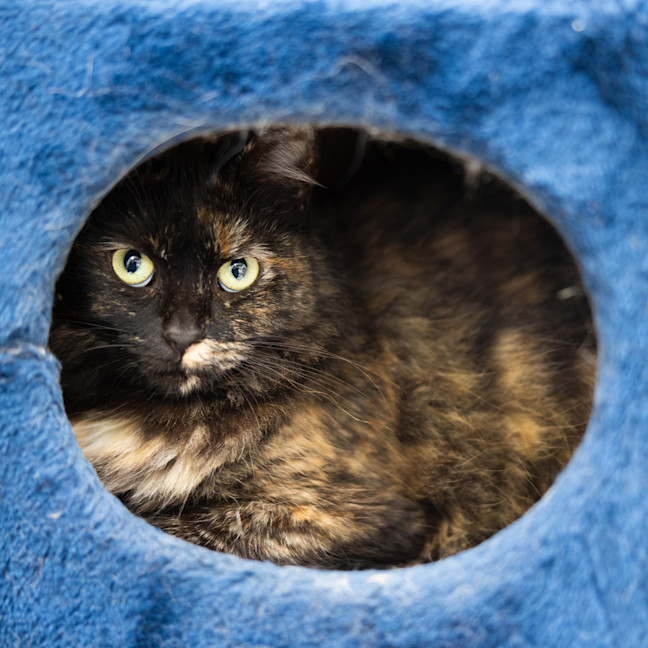 Photo of Queen Tootsie