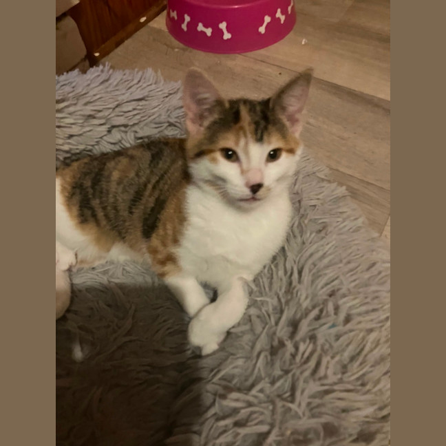 Photo of Amelia