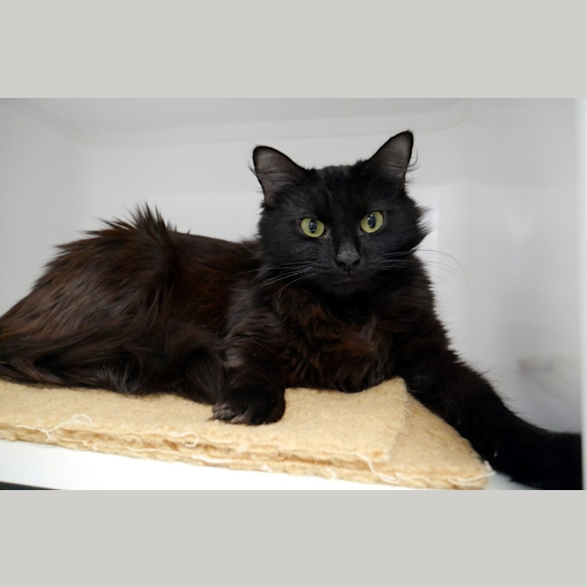 Photo of Jam Sta014098