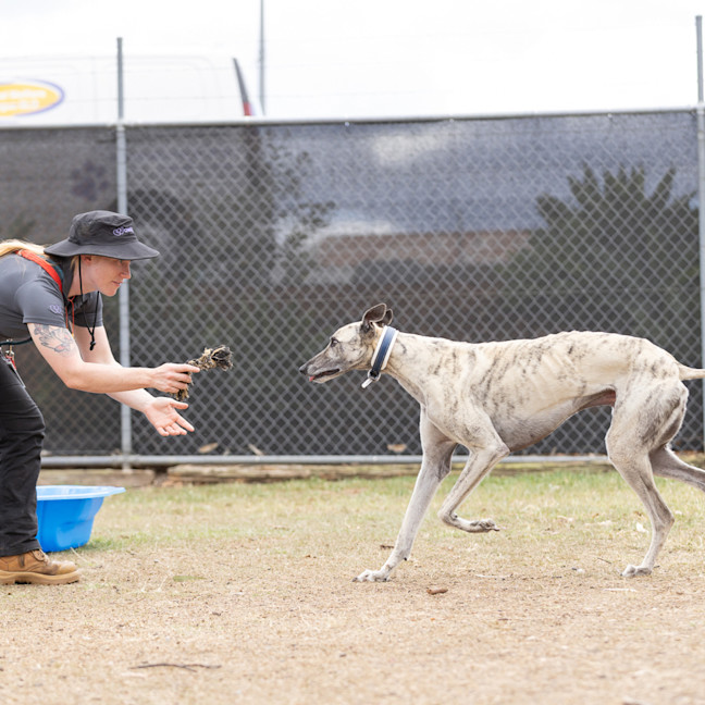 Photo of Ghost