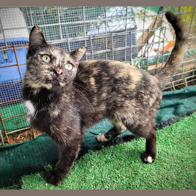 Photo of Lollipop 🍭