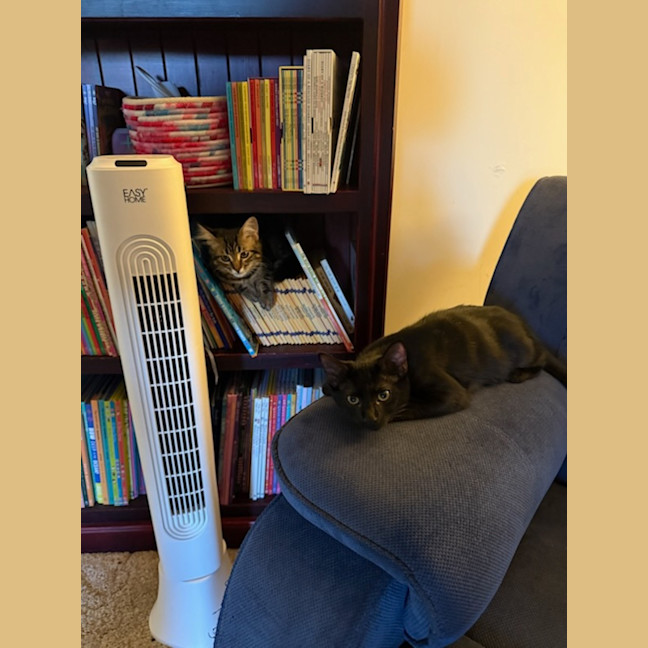 Photo of Eve & Coalette