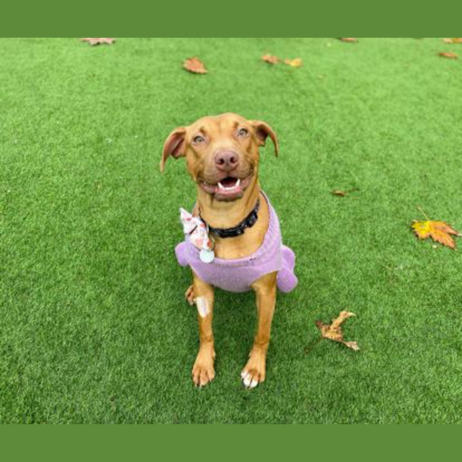 Photo of Max