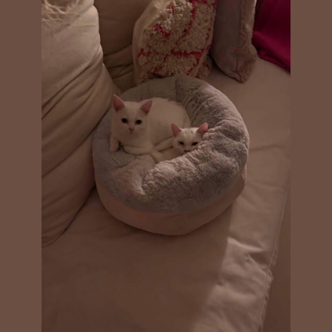 Photo of Parsnip & Yam