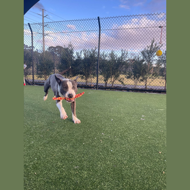 Photo of Jax Imp 1405