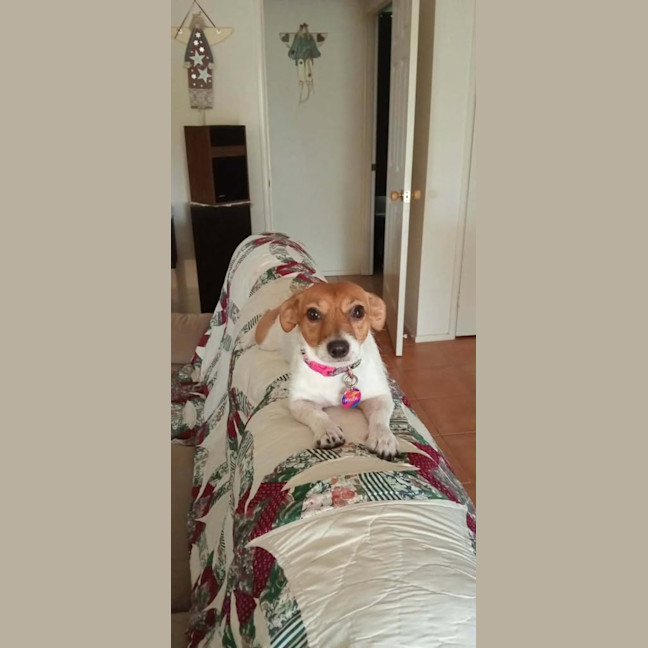 Photo of Meila