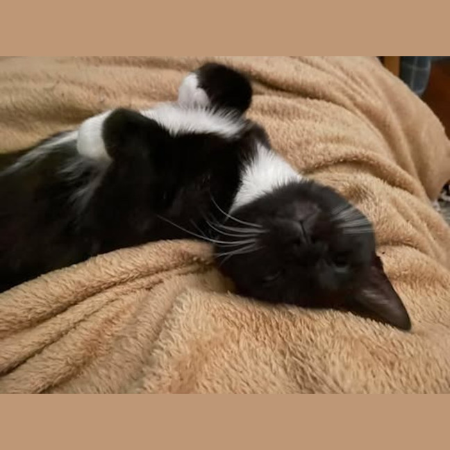 Photo of Evelyn